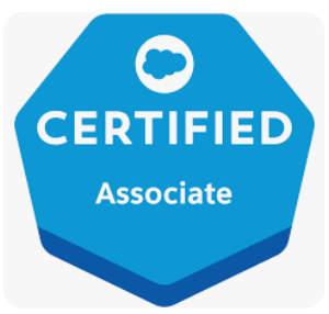 Salesforce Associate